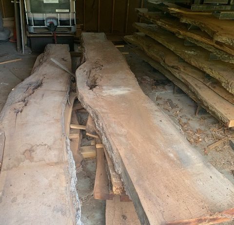 13′ Walnut Slabs